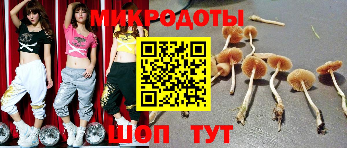 Галлюциногенные грибы мицелий Тихорецк
