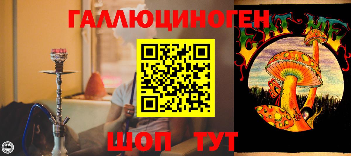 Тихорецк  Галлюциногенные грибы Magic Shrooms  где можно купить   Вход с VPN 